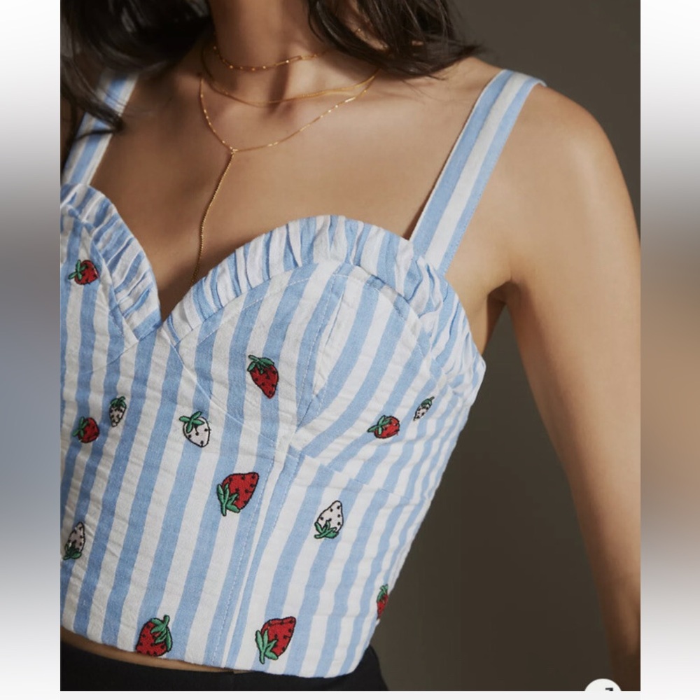 Anthropologie Blue & White Striped Strawberry embroidered Bustier Crop Top